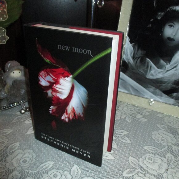 Twilight Box Set/Hardcover - Picture 9 of 14